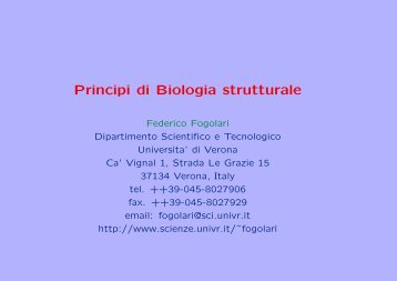 Principi di Biologia strutturale - Dipartimento di Fisica G. Occhialini