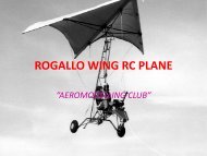 ROGALLO WING RC PLANE