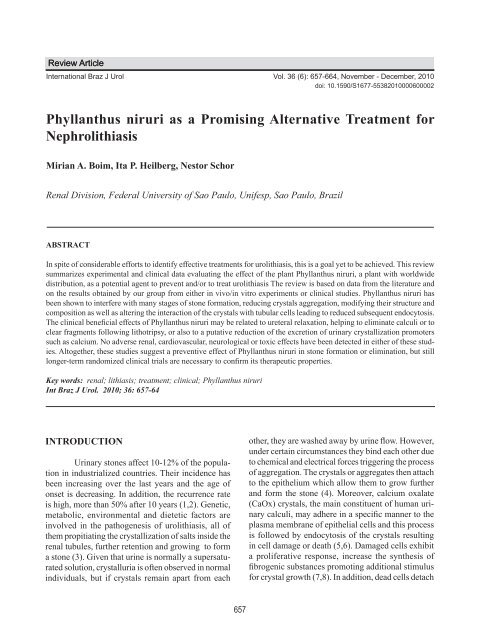 Phyllanthus niruri as a Promising Alternative Treatment for ...