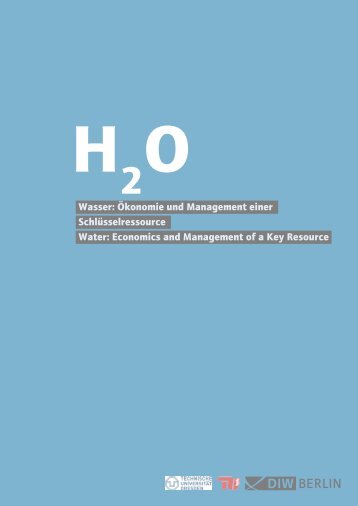Wasser: Ökonomie und Management einer ... - DIW Berlin