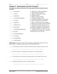 Chapter 5: Homeostasis and Cell Transport