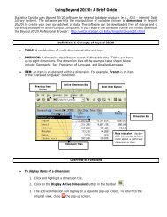 Using Beyond 20/20: A Brief Guide