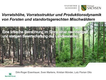 VorratshÃ¶he, Vorratsstruktur und Produktionsdynamik von Forsten ...