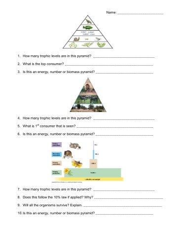 Pyramids Worksheet