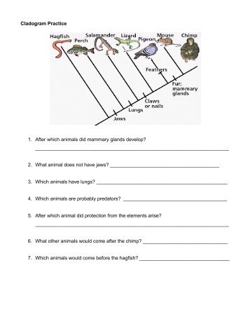 Cladogram Practice - MrsIacuone.com