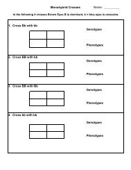 Monohybrid Crosses 2