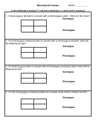 Monohybrid Crosses - Story Problems