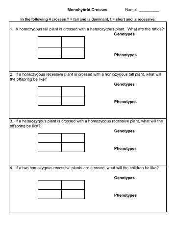 Monohybrid Crosses - Story Problems