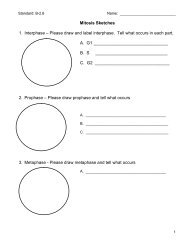 Mitosis Sketches 1. InterphaseÐ°âÐ°Please draw and label interphase ...