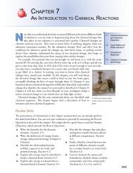 Chapter 7 An Introduction to Chemical Reactions