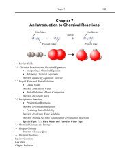 Chapter 7 An Introduction to Chemical Reactions