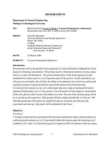 MEMORANDUM - Chemical Engineering - Michigan Technological ...