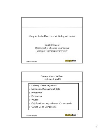 Chapter 2: An Overview of Biological Basics - Chemical Engineering ...