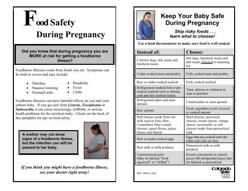 Food Safety During Pregnancy Food Safety During Pregnancy
