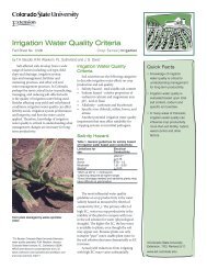 White Grubs [fact sheet]