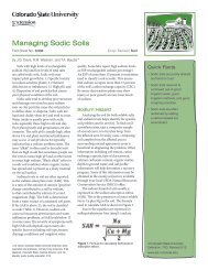 Managing Sodic Soils - Colorado State University Extension
