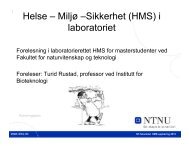 MiljÃ¸ âSikkerhet (HMS) i laboratoriet - Fakultet for naturvitenskap og ...