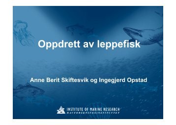 Oppdrett av leppefisk