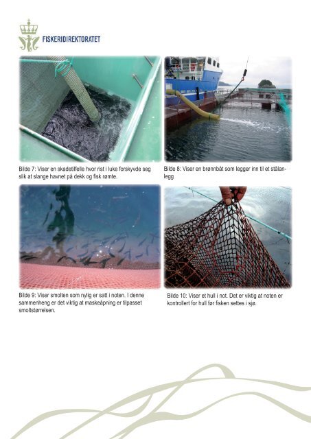 PM1.3 Transport av fisk fra landanlegg til ... - Fiskeridirektoratet