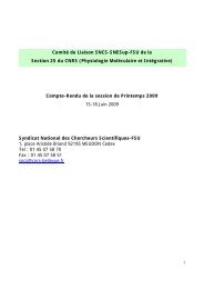 Comité de Liaison SNCS-SNESup-FSU de la Section 25 du CNRS ...