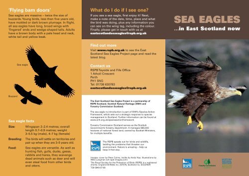 Sea Eagles Scottish Natural Heritage