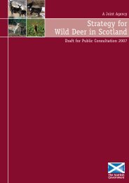 Strategy for Wild Deer in Scotland - Draft for Public Consultation 2007