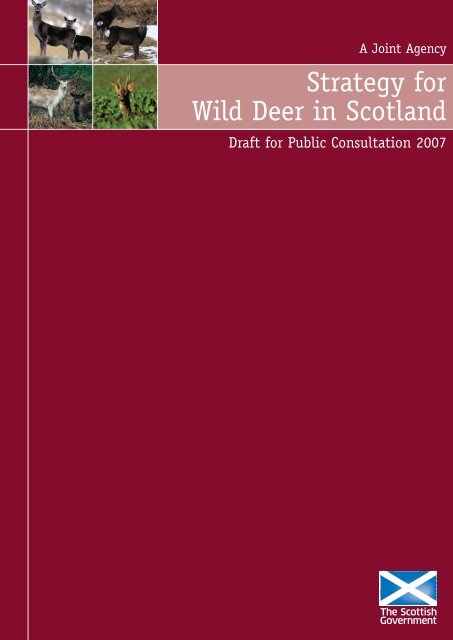 Strategy for Wild Deer in Scotland - Draft for Public Consultation 2007
