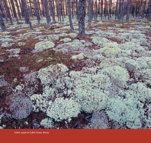 Lichens Lichens - Scottish Natural Heritage