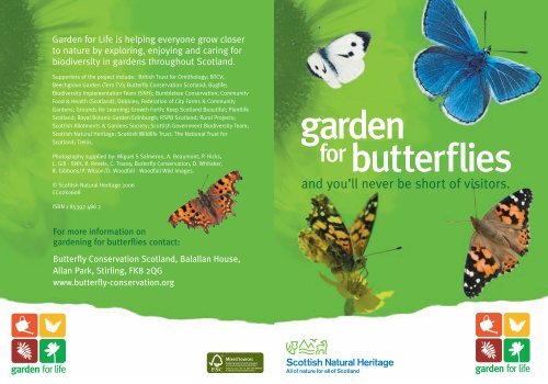 Garden for butterflies