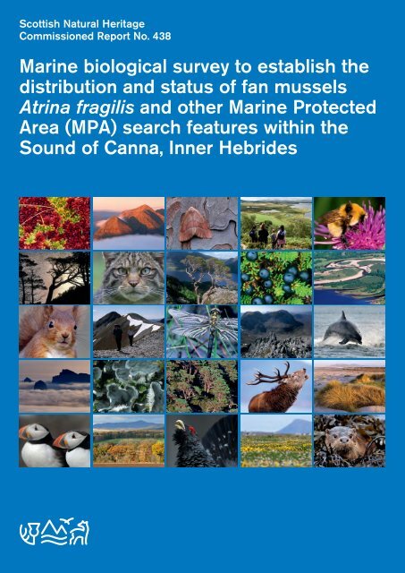 Marine biological survey to establish the distribution and status of ...