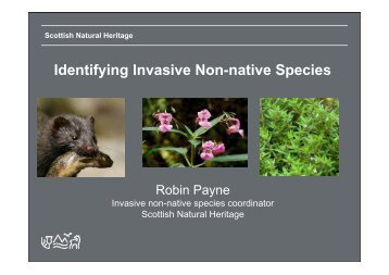 Identifying Invasive Non-native Species - Robin Payne