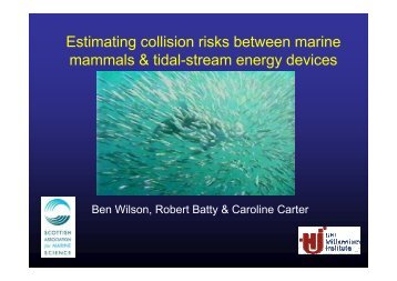 Estimating collision risks between marine mammals & tidal-stream ...