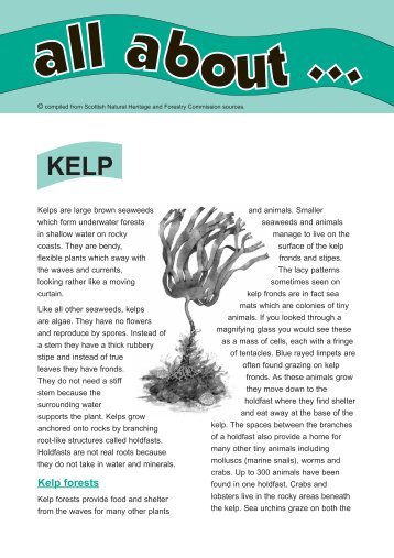 Kelp forests