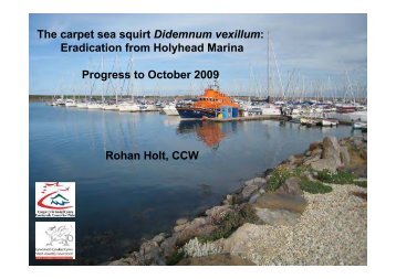 The carpet sea squirt Didemnum vexillum: Eradication from ...