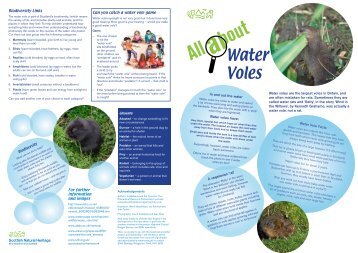 Water Voles