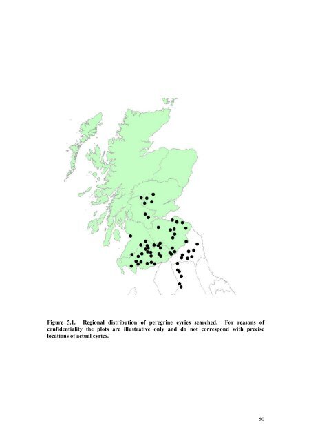 RACING PIGEONS â IMPACT OF RAPTOR PREDATION