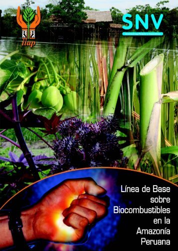 biocombustible A 2008.cdr - Instituto de Investigaciones de la ...