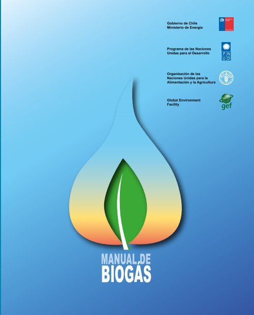 Manual de Biogás - SNV