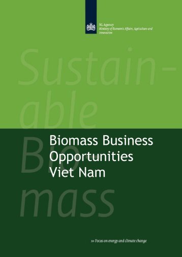 Biomass Business Opportunities Viet Nam - SNV