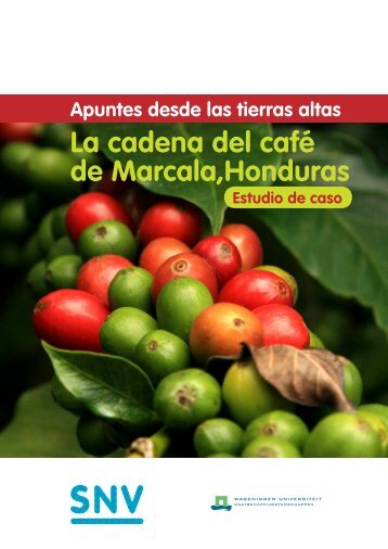 La cadena del café de Marcala,Honduras - SNV