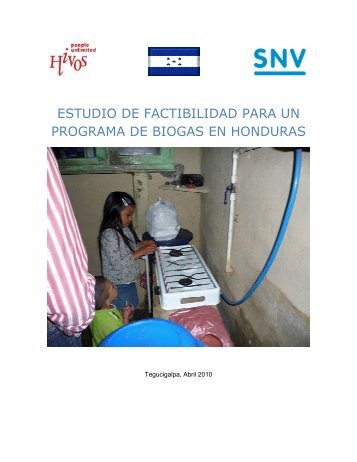 estudio de factibilidad para un programa de biogas en ... - SNV