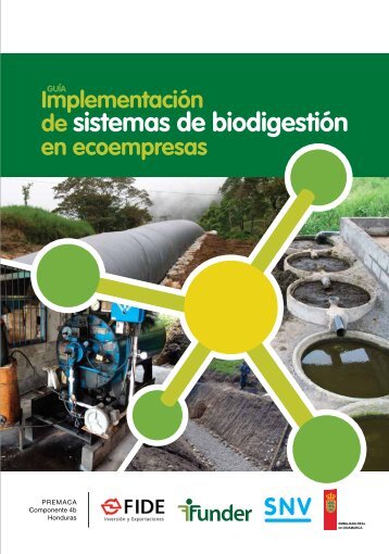 de sistemas de biodigestión - SNV