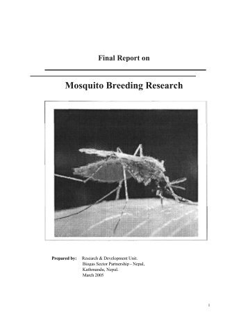 Final Report on Mosquito Breeding Research - SNV