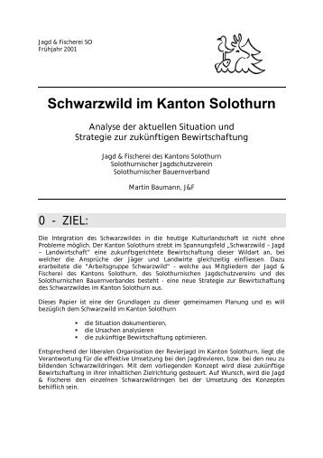 Schwarzwild im Kanton Solothurn - Revierjagd Solothurn