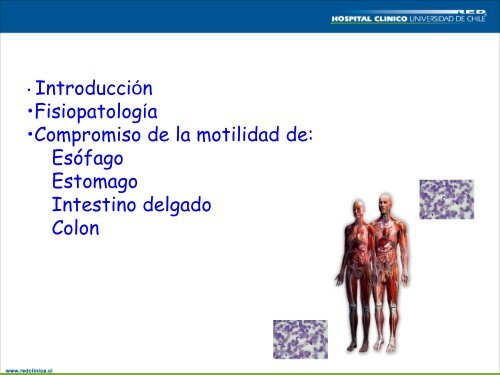 Chagas y Sistema digestivo