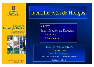 IdentificaciÃ³n de hongos