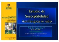 Estudio de susceptibilidad in vitro