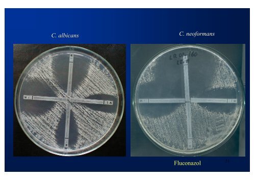 Estudio de susceptibilidad in vitro