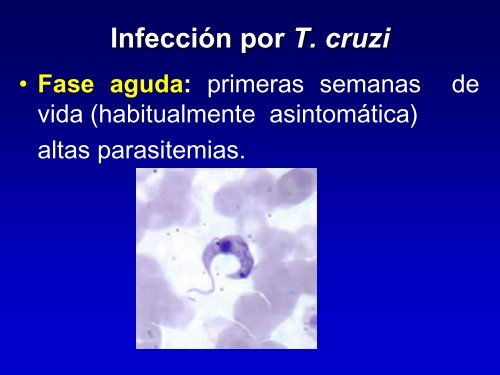 Enfermedad de Chagas en la madre y en el ReciÃ©n Nacido