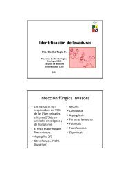 4_Microbiol09_05_Tap..